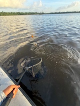 Louisiana-Saltwater-Fishing-6