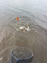 Saltwater-Fishing-Guided-10