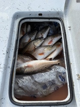 Saltwater-Fishing-Guided-8