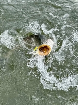 1_Saltwater-Fishing-21