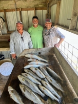2_Saltwater-Fishing-18