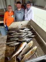 Guided-Saltwater-Fishing-1