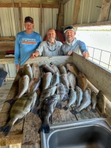 Guided-Saltwater-Fishing-9