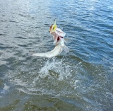 Saltwater-Fishing-20