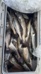 Saltwater-Fishing-1