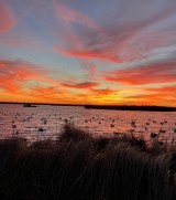 Duck-Hunting-in-Louisiana-1