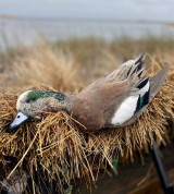 Duck-Hunting-in-Louisiana-19