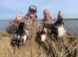 Guided-Duck-Huniting-in-Louisiana-7