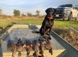 Guided-Duck-Hunting-35