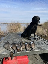 Guided-Duck-Hunting-5