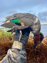 Duck-Hunting-Guide-Service-6