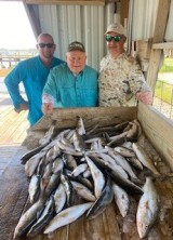 Guided-Saltwater-Fishing-41