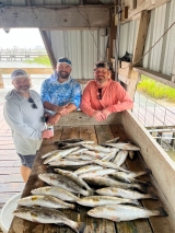 Saltwater-Fishing-9