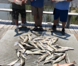 Hackberry-Louisiana-Fishing-61720-26