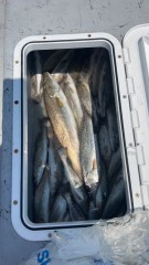 Guided-Fishing-in-Hackberry-Louisiana-2