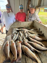 Hackberry-Rod-and-Gun-guided-saltwater-fishing-in-Louisiana-14