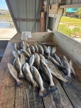 Hackberry-Rod-and-Gun-guided-saltwater-fishing-in-Louisiana-9