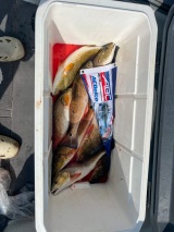 Saltwater-Fishing-Guide-22