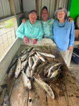 Saltwater-Fishing-Guide-4