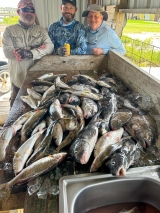 Saltwater-Fishing-Louisiana-10