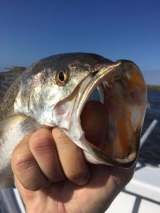 Fishing-at-Hackberry-Rod-and-Gun-April-2019-24