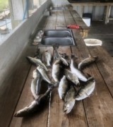 Saltwater-Fishing-in-Hackberry-Louisiana-3
