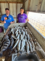 Louisiana-Guided-Saltwater-Fishing-10