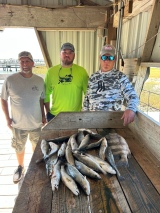 Guided-Saltwater-Fishing-17