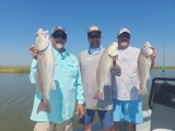 2_Guided-Fishing-in-Louisiana-12