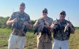 Teal-Hunting-Guided-in-Louisiana-5