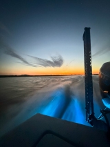Saltwater-Fishing-6