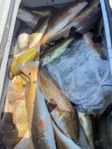 Saltwater-Fishing-8