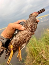 Fishing-and-Duck-Hunting-10