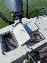 Fishing-and-Duck-Hunting-21