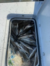 Fishing-and-Duck-Hunting-24