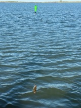 Fishing-and-Duck-Hunting-27