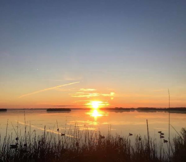 About Hackberry Rod & Gun Hackberry Rod & Gun